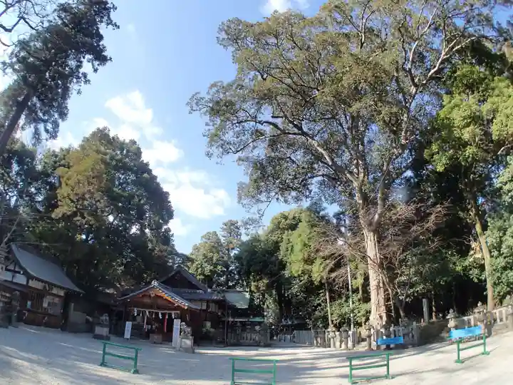鴨都波神社の自然