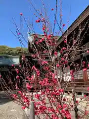 真清田神社の建物その他