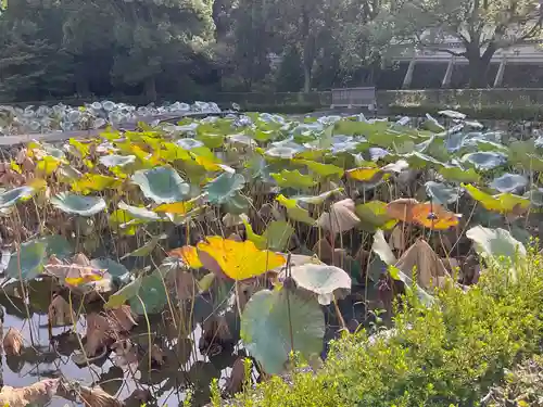 東福禅寺（東福寺）(京都府)