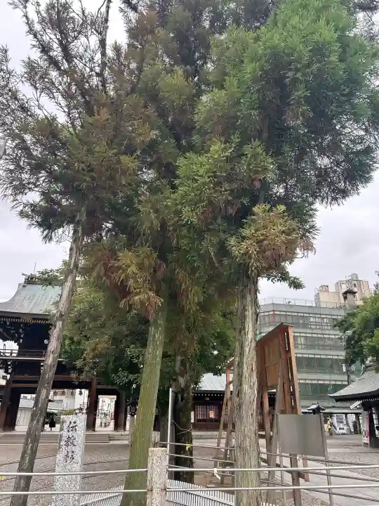 真清田神社の{uncategorized: "未分類", other: "その他", undefined: "問題あり", building: "その他建物", grave: "お墓", sacred_gate: "鳥居", guardian: "狛犬", statue: "像", buddha: "仏像", history: "歴史", nature: "自然", garden: "庭園", animal: "動物", pagoda: "塔", temizu: "手水舎", mountain_gate: "山門・神門", sanctuary: "本殿・本堂", subordinate: "末社・摂社", art: "芸術", scenery: "景色", jizo: "地蔵", ema: "絵馬", goshuin: "御朱印", omikuji: "おみくじ", items: "授与品その他", amulet: "お守り", goshuincho: "御朱印帳", eats: "食事", festival: "お祭り", votive_dance: "神楽", shichigosan: "七五三参", wedding: "結婚式", experience: "体験その他", initially: "初詣", around: "周辺", anti_infection: "感染症対策"}