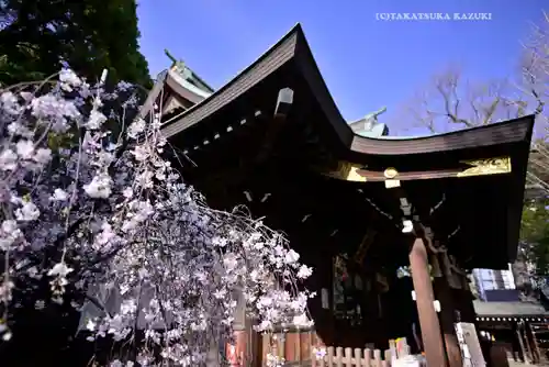 鳩ヶ谷氷川神社(埼玉県)
