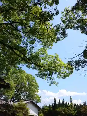 刺田比古神社(和歌山県)