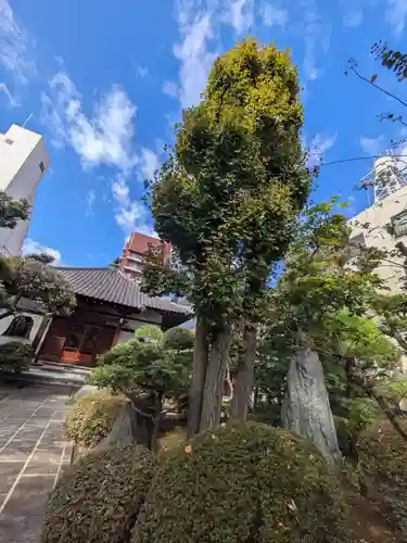 吉祥院(東京都)