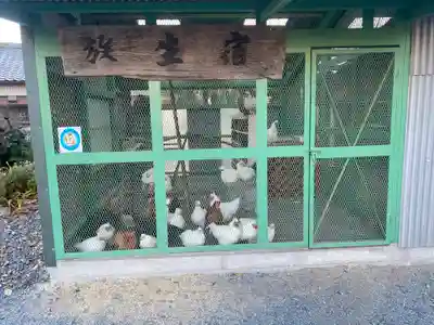 江西寺（祈願だるま寺）(三重県)
