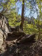 琴平神社の自然