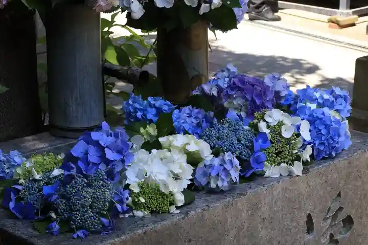 千手院(奈良県)
