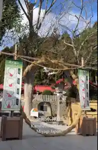 金蛇水神社(宮城県)(2024年12月07日(土) 19時46分23秒投稿)