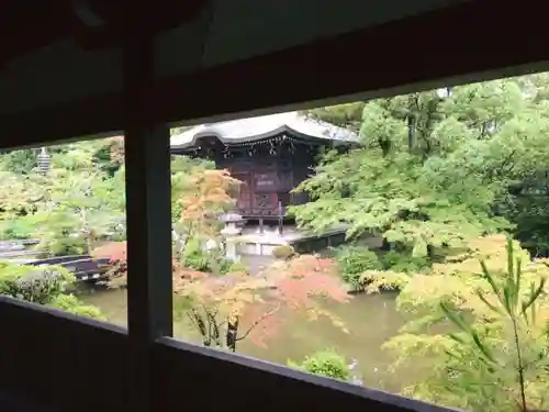 清凉寺の庭園