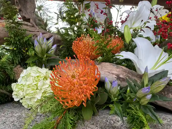 温泉神社〜いわき湯本温泉〜の自然