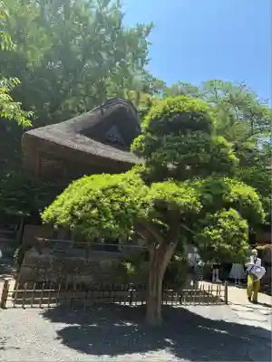 報国寺(神奈川県)