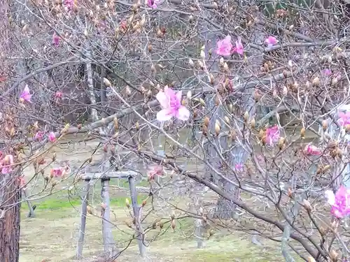 仁和寺(京都府)