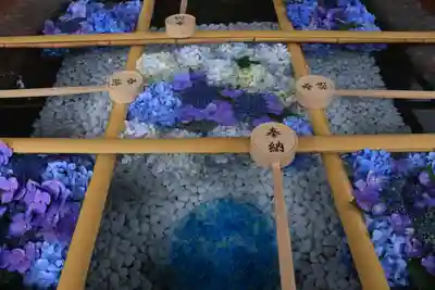 土津神社|こどもと出世の神さまの手水舎