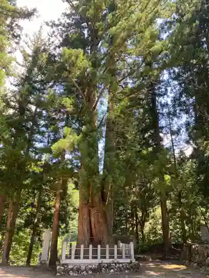 八海神社(新潟県)