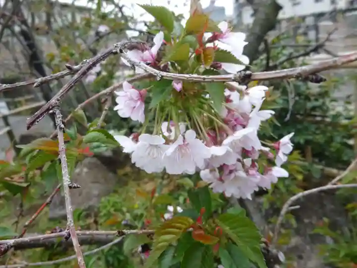 妙蓮寺(神奈川県)