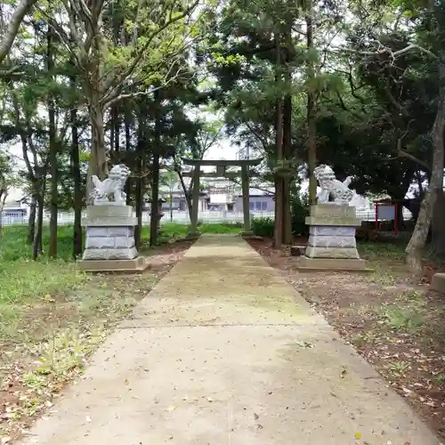 阿波神社の狛犬