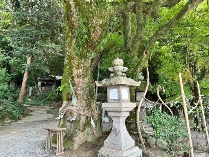 玉祖神社(大阪府)