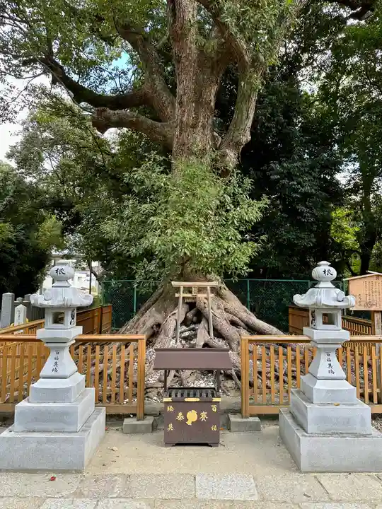 和泉國一之宮 大鳥大社(大阪府)