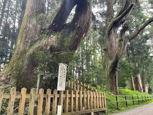 幣立神宮(熊本県)