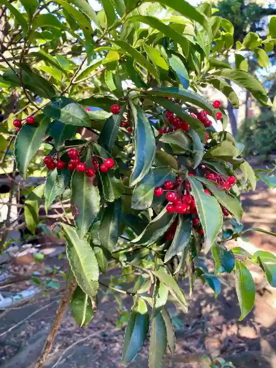 伊勢社の{uncategorized: "未分類", other: "その他", undefined: "問題あり", building: "その他建物", grave: "お墓", sacred_gate: "鳥居", guardian: "狛犬", statue: "像", buddha: "仏像", history: "歴史", nature: "自然", garden: "庭園", animal: "動物", pagoda: "塔", temizu: "手水舎", mountain_gate: "山門・神門", sanctuary: "本殿・本堂", subordinate: "末社・摂社", art: "芸術", scenery: "景色", jizo: "地蔵", ema: "絵馬", goshuin: "御朱印", omikuji: "おみくじ", items: "授与品その他", amulet: "お守り", goshuincho: "御朱印帳", eats: "食事", festival: "お祭り", votive_dance: "神楽", shichigosan: "七五三参", wedding: "結婚式", experience: "体験その他", initially: "初詣", around: "周辺", anti_infection: "感染症対策"}