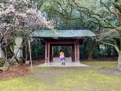 乃木神社の手水舎