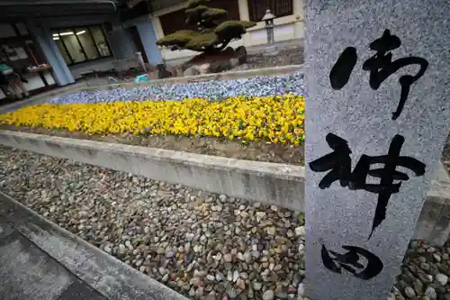 愛知縣護國神社の自然