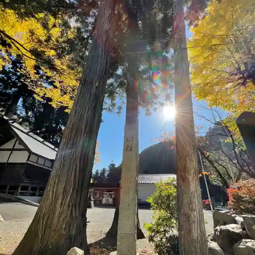 奥氷川神社(東京都)