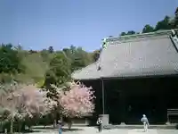 妙本寺の本殿・本堂