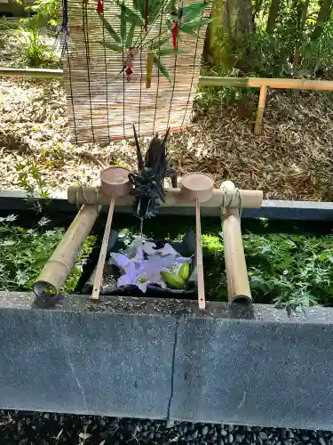 下野 星宮神社の{uncategorized: "未分類", other: "その他", undefined: "問題あり", building: "その他建物", grave: "お墓", sacred_gate: "鳥居", guardian: "狛犬", statue: "像", buddha: "仏像", history: "歴史", nature: "自然", garden: "庭園", animal: "動物", pagoda: "塔", temizu: "手水舎", mountain_gate: "山門・神門", sanctuary: "本殿・本堂", subordinate: "末社・摂社", art: "芸術", scenery: "景色", jizo: "地蔵", ema: "絵馬", goshuin: "御朱印", omikuji: "おみくじ", items: "授与品その他", amulet: "お守り", goshuincho: "御朱印帳", eats: "食事", festival: "お祭り", votive_dance: "神楽", shichigosan: "七五三参", wedding: "結婚式", experience: "体験その他", initially: "初詣", around: "周辺", anti_infection: "感染症対策"}