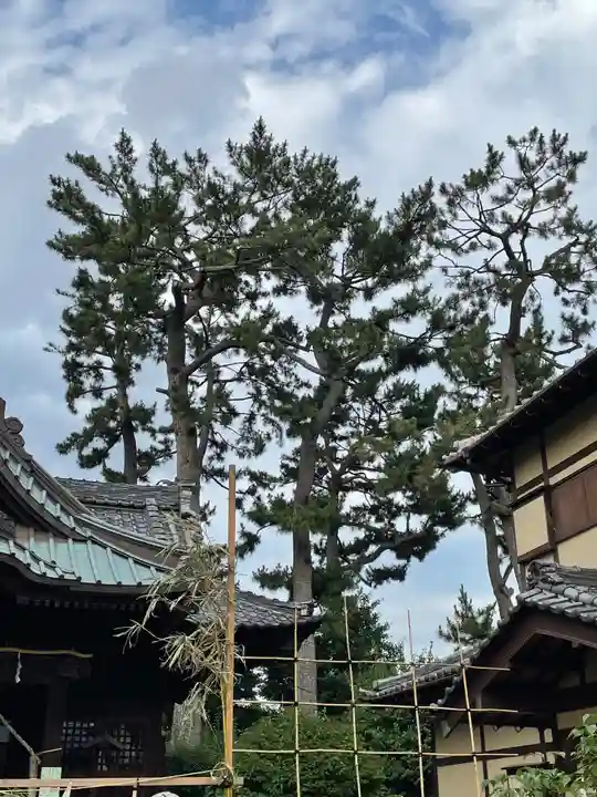 東玉川神社の自然