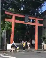 赤城神社の鳥居