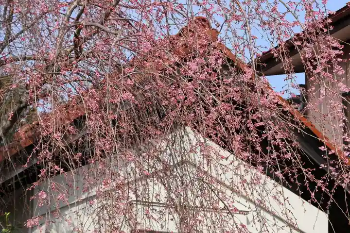 豊景神社の自然