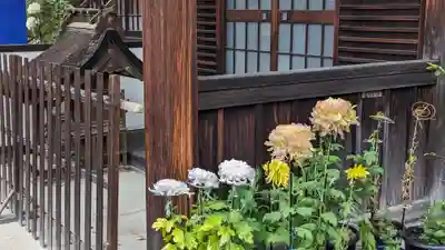 離宮八幡宮(京都府)