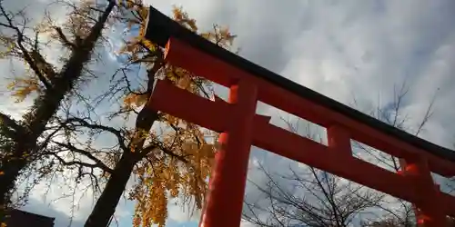 賀茂御祖神社（下鴨神社）の鳥居