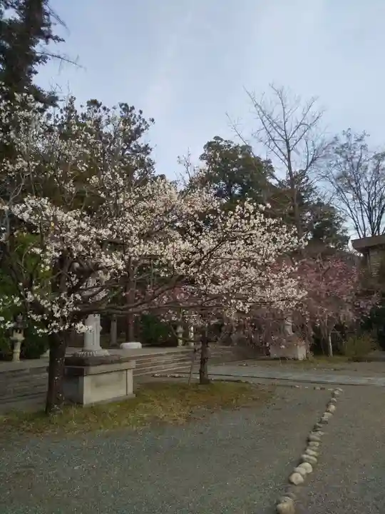 山梨縣護國神社の自然