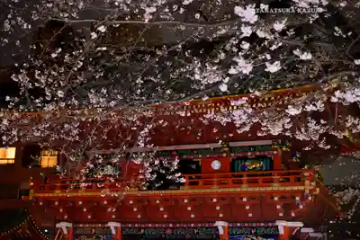 神田神社（神田明神）(東京都)