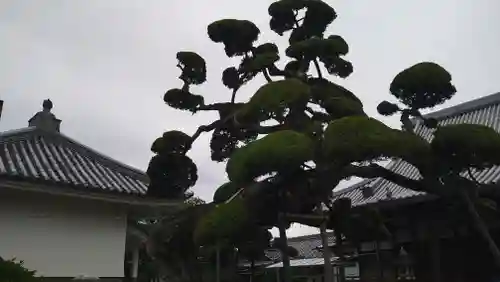 西法寺(大阪府)