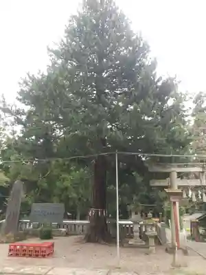 安房神社(栃木県)