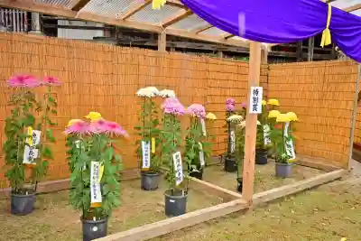 普光寺(新潟県)