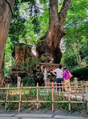 來宮神社のその他建物