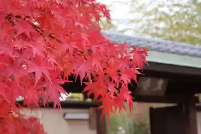 専稱寺(大阪府)
