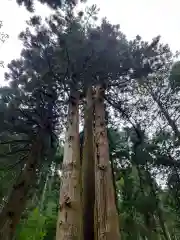 御岩神社の自然