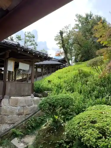 達磨堂 円福寺 のその他建物