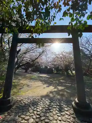神﨑神社(鳥取県)