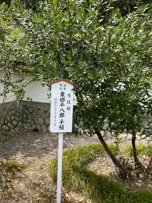 正一位霊験稲荷社(栃木県)