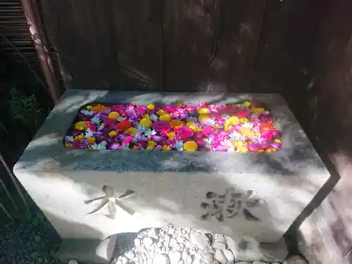 菅生神社(愛知県)