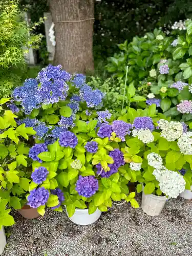 源九郎稲荷神社(奈良県)