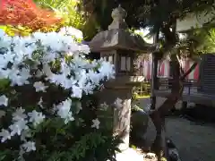 惣社神社(滋賀県)