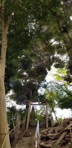 金山神社の鳥居