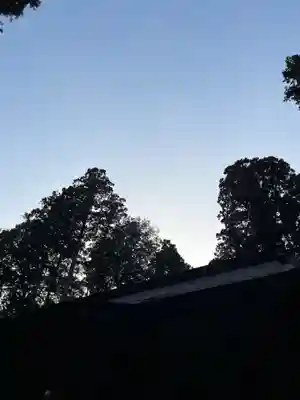 大宮温泉神社(栃木県)