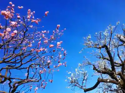 瑞円寺(東京都)